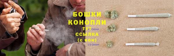 гашик Липки