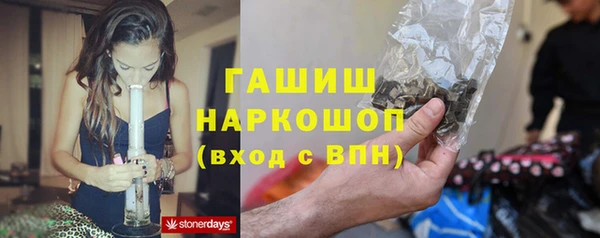 гашик Липки
