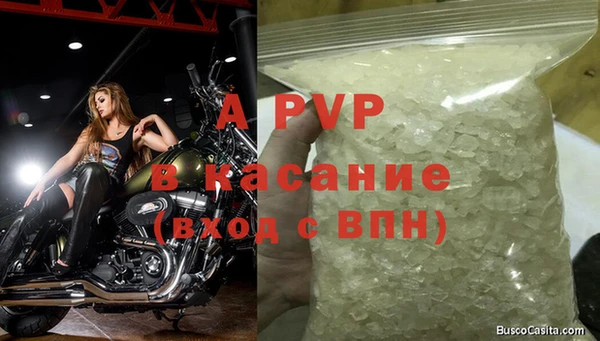 гашик Липки