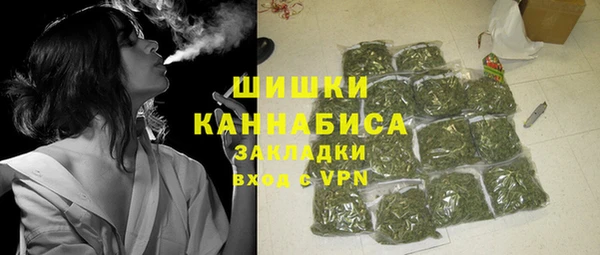 гашик Липки