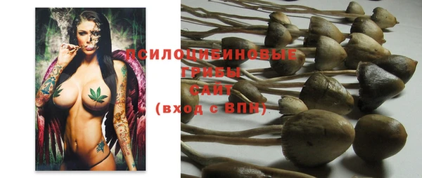 гашик Липки